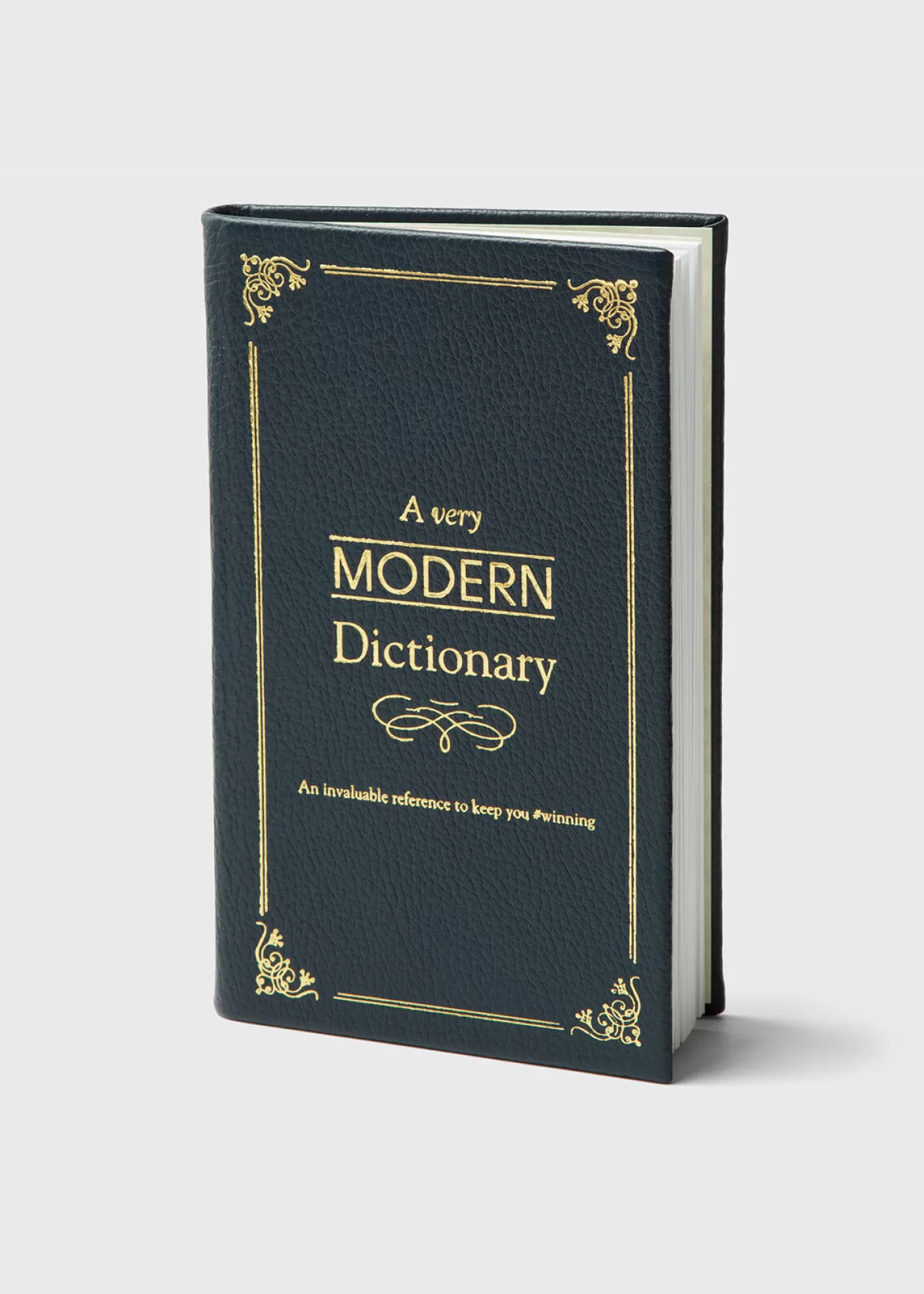 New A Very Modern Dictionary Lifestyle