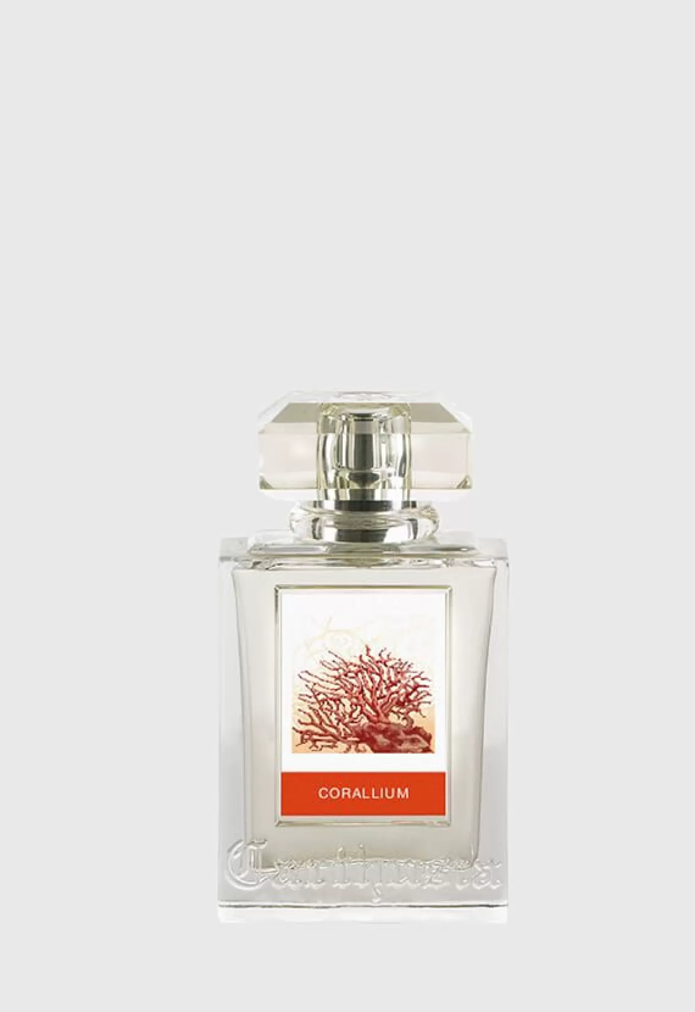 Clearance Corallium Eau De Parfum Lifestyle