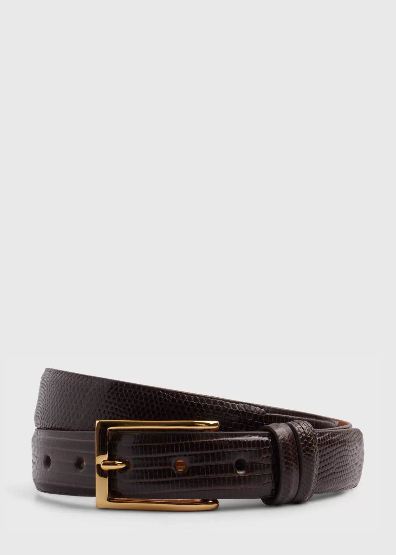 Sale Lizard Belt Belts