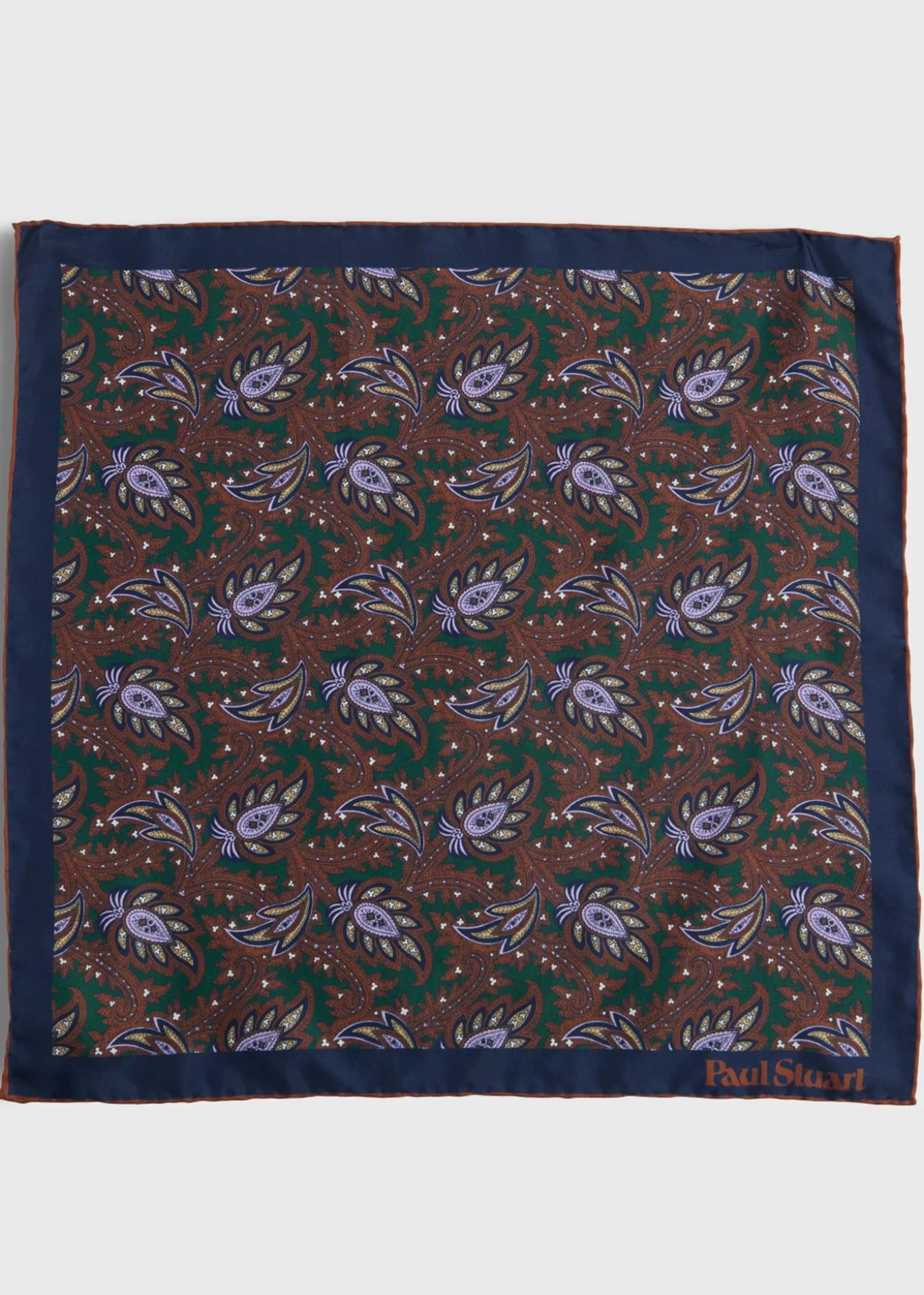 New Printed Silk Paisley Pocket Square Pocket Squares