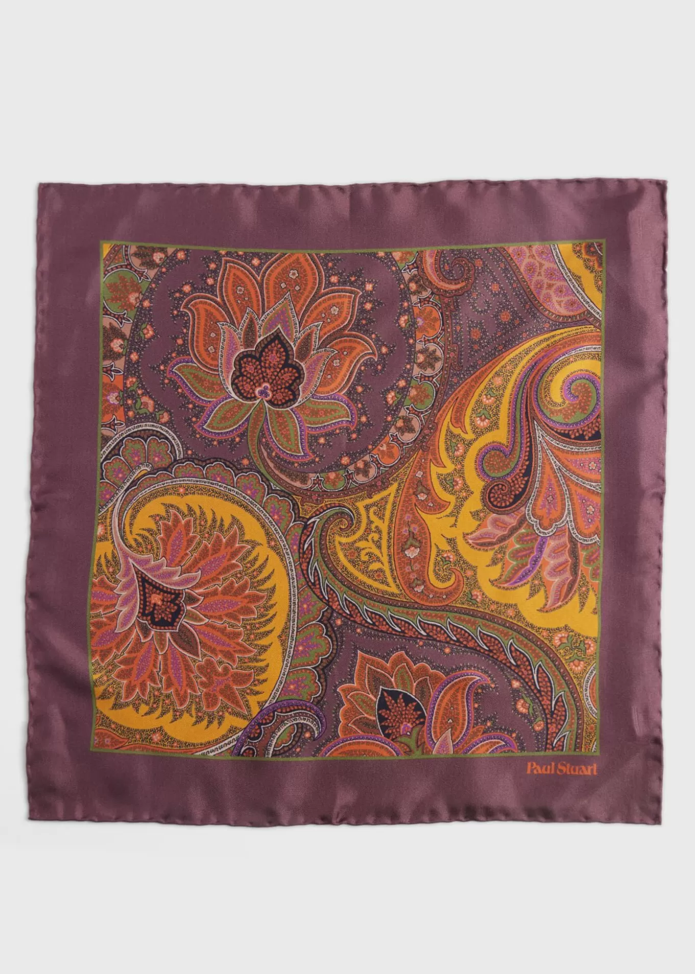 Online Silk Paisley Pocket Square Pocket Squares