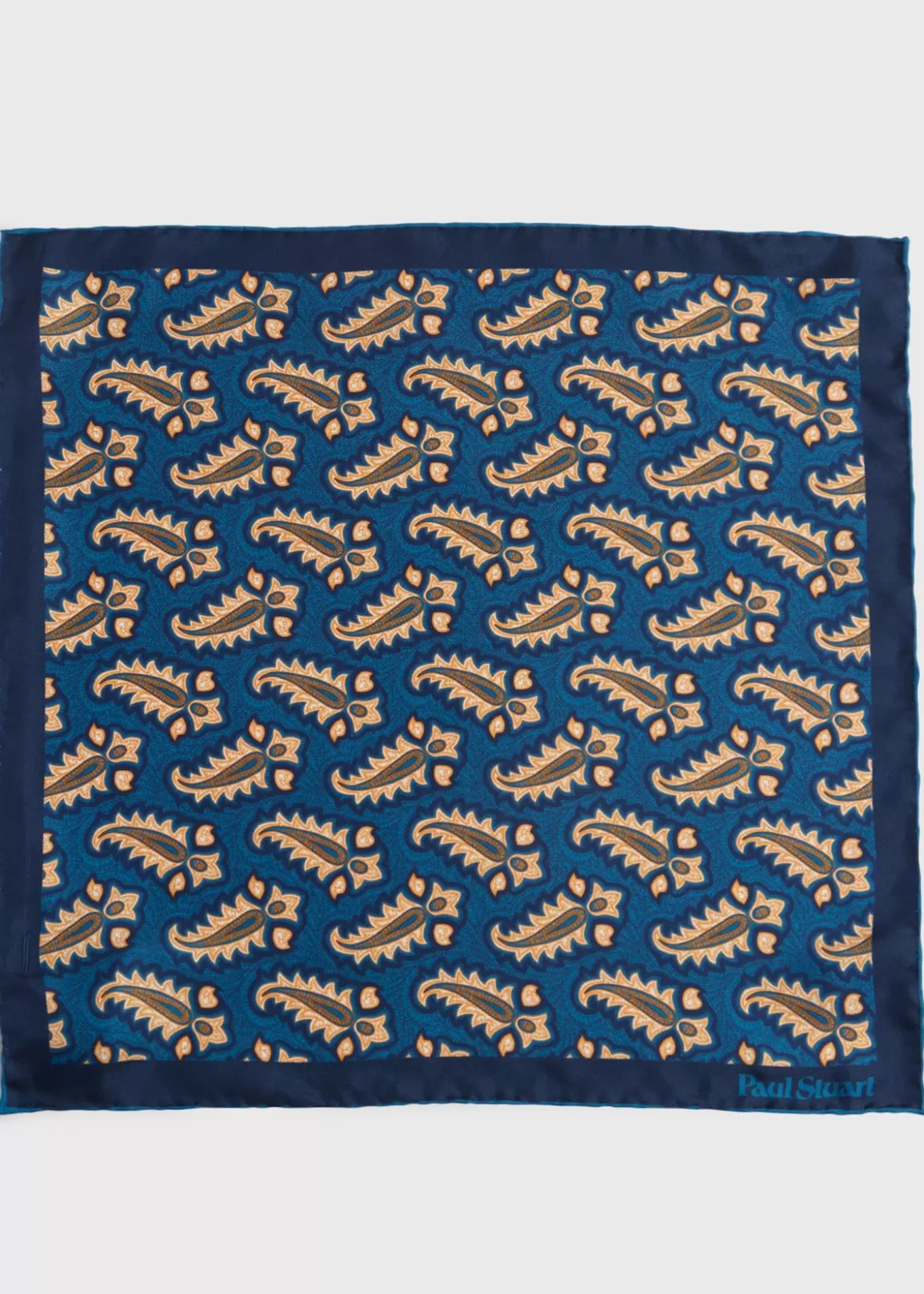 Discount Silk Tossed Paisley Medallion Pocket Square Pocket Squares